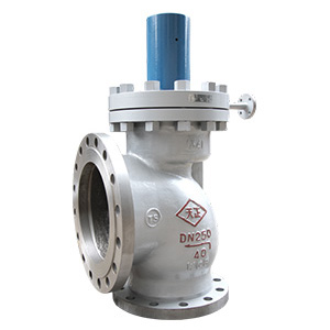 中國(guó)天正閥門(mén)有限公司